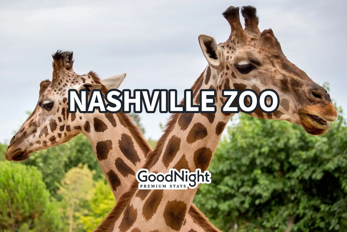 This image captures giraffes in a lush, green environment, perfectly representing the outdoor family experience at the Nashville Zoo. The mood is joyful and curious, with a focus on animal watching, family outings, and educational activities.